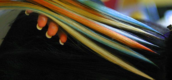 William Connor Hair Extensions
